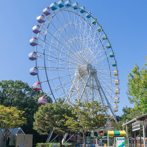 ナイトズーのんほいの遊園地