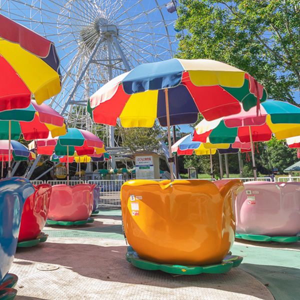 ナイトズーのんほいの遊園地