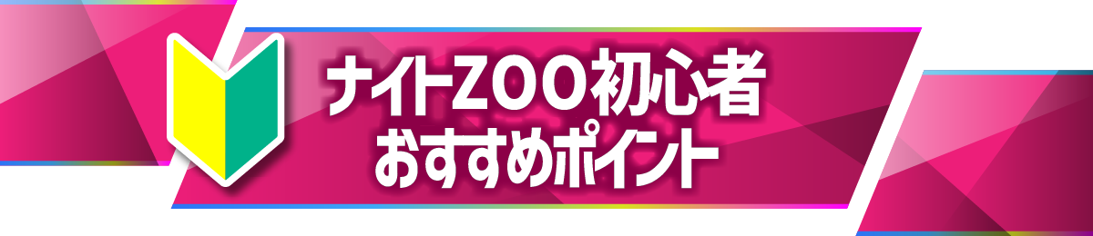 ナイトズー（ZOO）のんほいパーク豊橋 初心者おすすめ