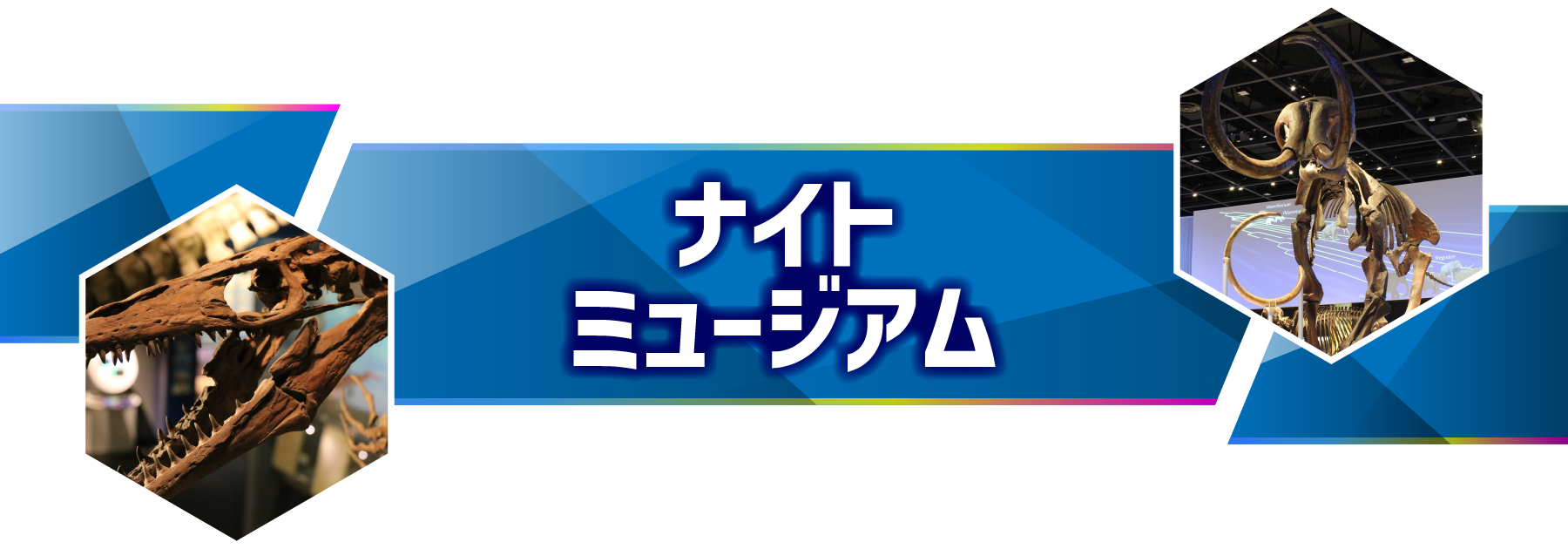 ナイトズー（ZOO）のんほいパーク豊橋 ナイトミュージアム