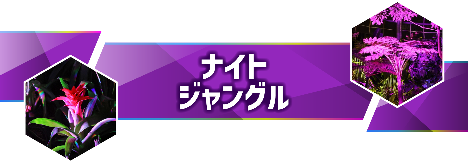 ナイトズー（ZOO）のんほいパーク豊橋 ナイトジャングル