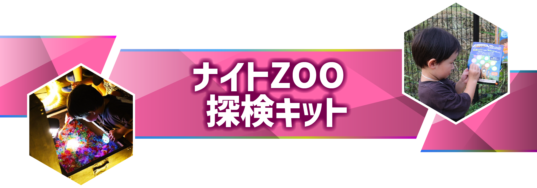 ナイトズー（ZOO）のんほいパーク豊橋 ナイトZOO探検キット