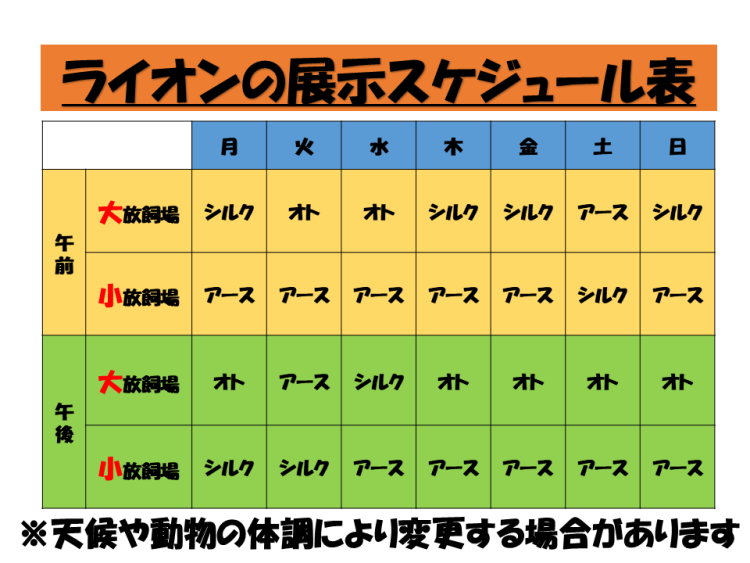 ライオン展示予定